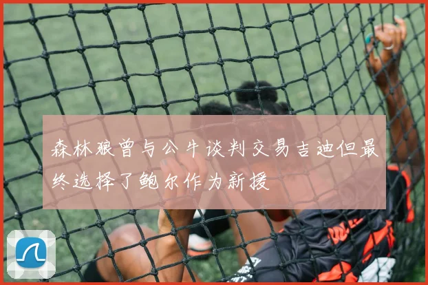 森林狼曾与公牛谈判交易吉迪但最终选择了鲍尔作为新援