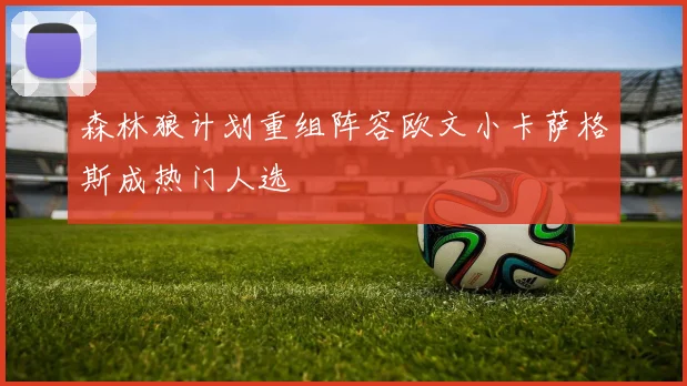 森林狼计划重组阵容欧文小卡萨格斯成热门人选