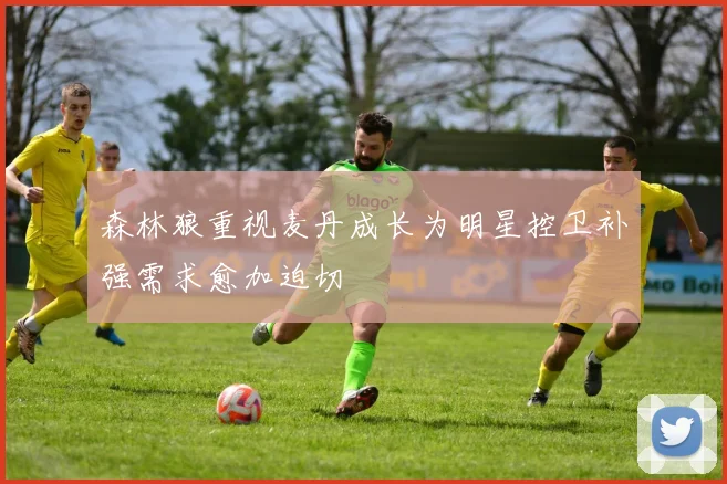 森林狼重视麦丹成长为明星控卫补强需求愈加迫切