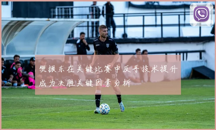 樊振东在关键比赛中反手技术提升成为决胜关键因素分析